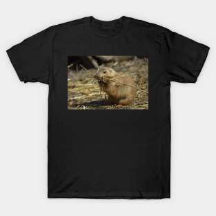 Prairie Dog T-Shirt